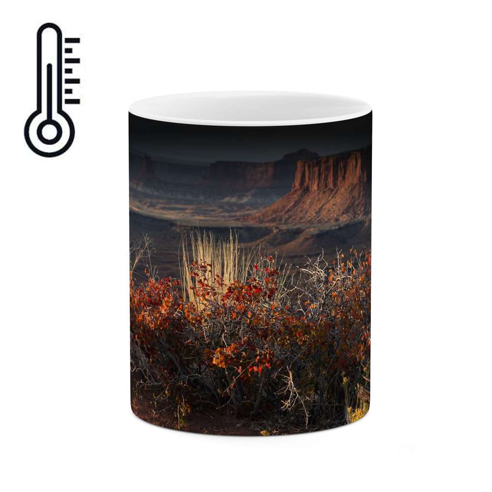 ماگ حرارتی مدل mgph14837