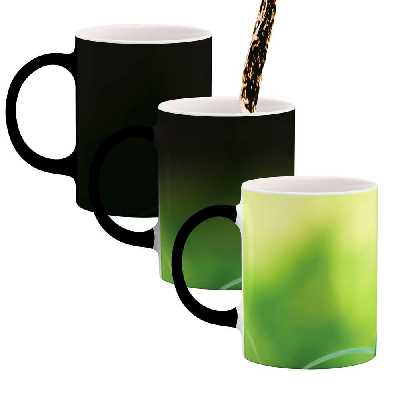 ماگ حرارتی طرح حشره مدل mgh01847