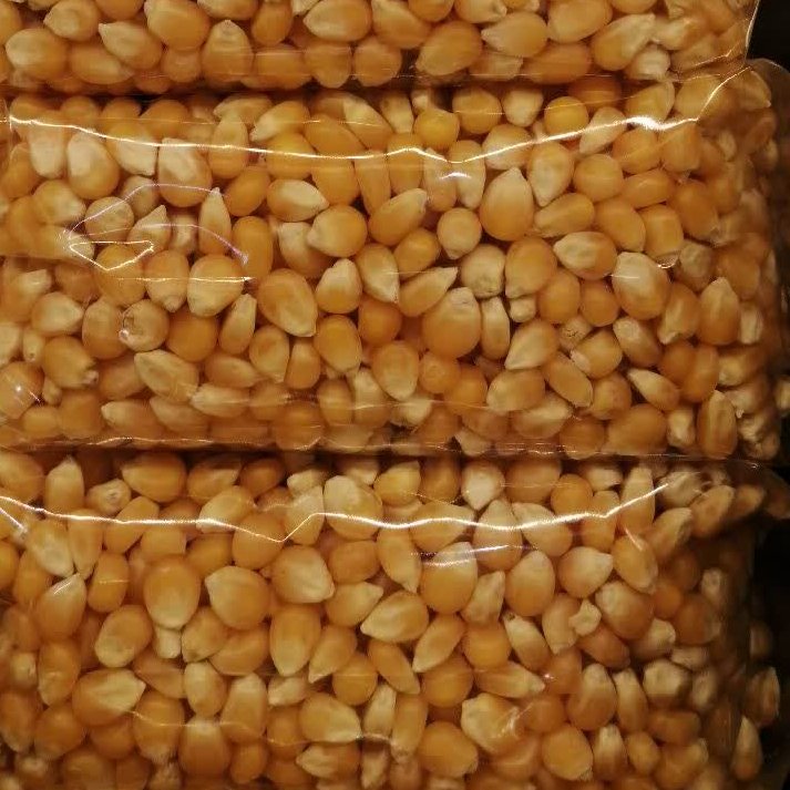 ذرت خام مخصوص پاپ کورن، تنقلات شب چله و یلدا ( 500 گرم)