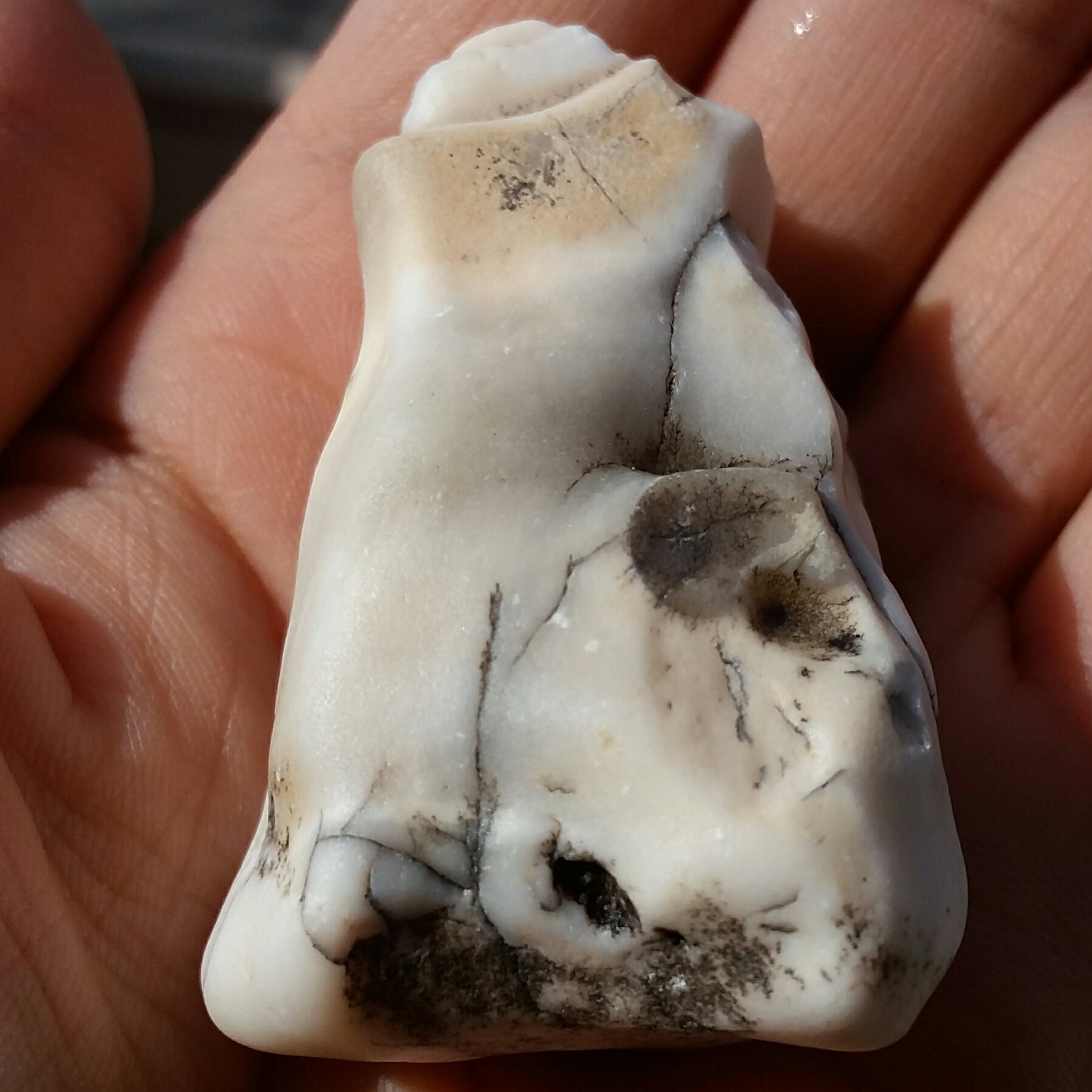 سنگ راف عقیق باد سابی محشر دیدنیییی
100درصد طبیعی
شاهکار خلقت
