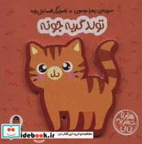 قیمت و خرید کتاب فومی تولد گربه جونه اثر زهرا موسوی | ایده بوک