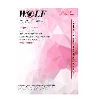 کاغذ فتو گلاسه دورو 160 گرم ولف سایز A3