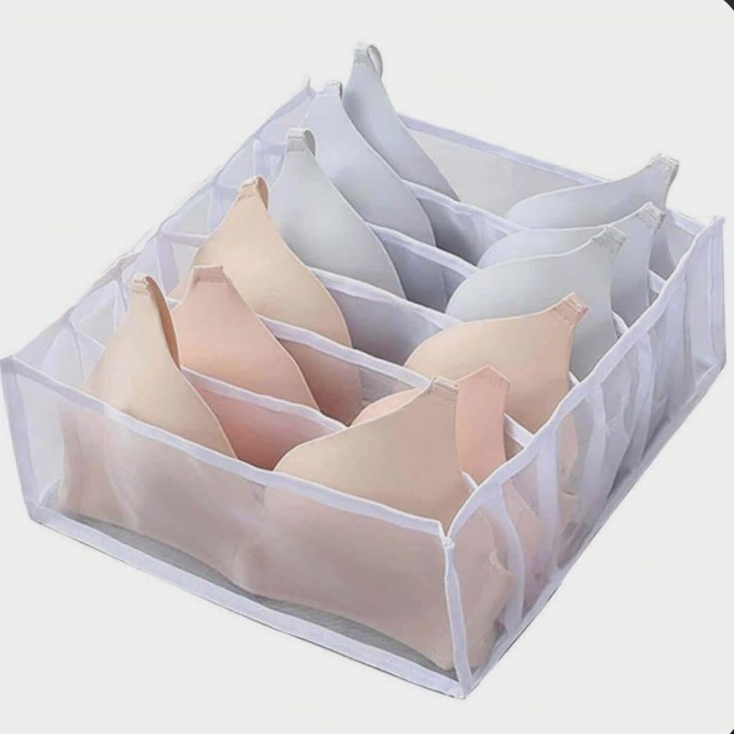 نظم دهنده لباس زیر