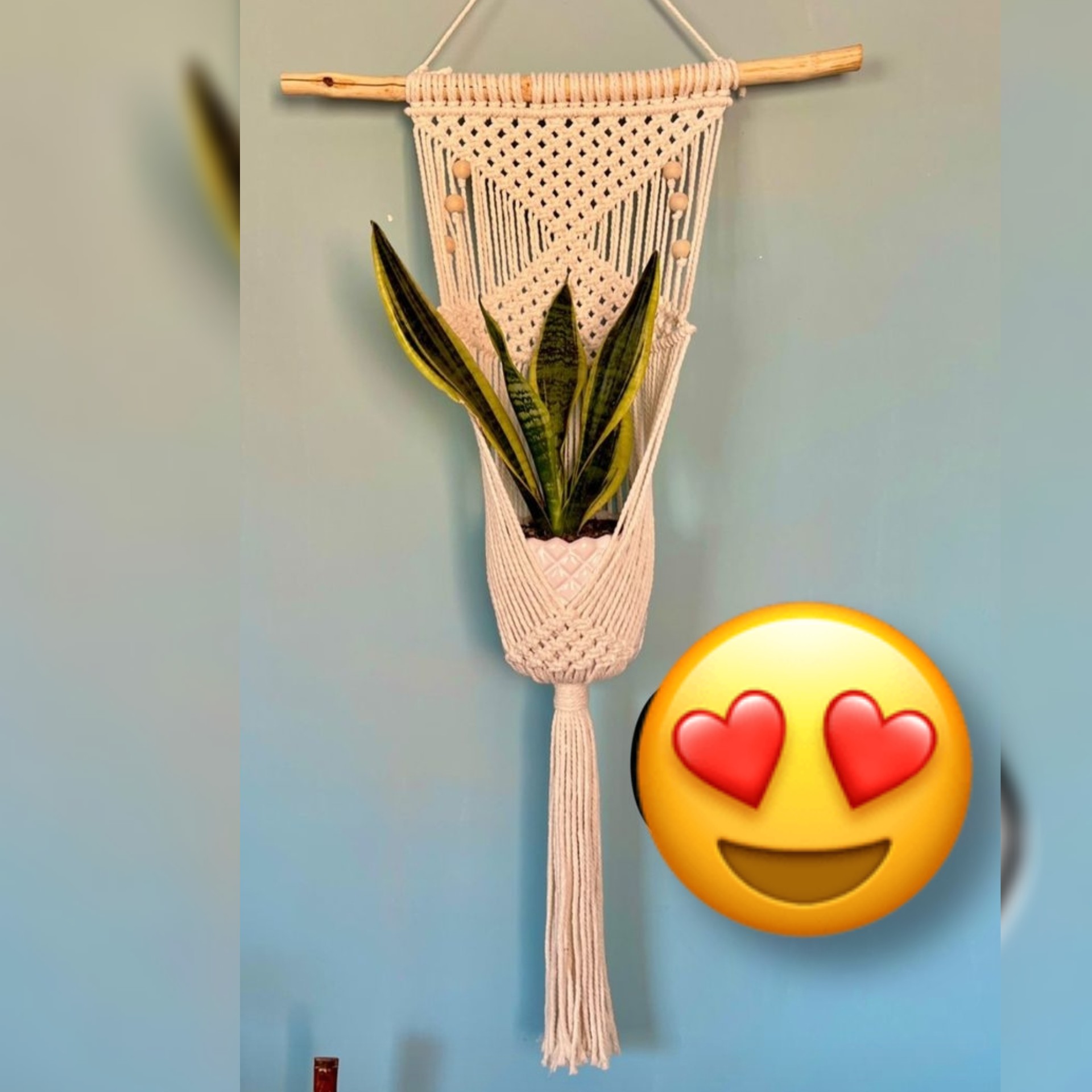 آویز گلدان مکرومه مدل پریا