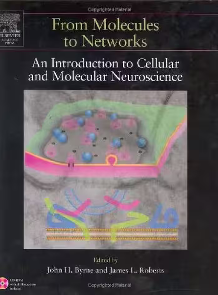 خرید و دانلود نسخه کامل کتاب From Molecules to Networks: An Introduction to Cellular and Molecular Neuroscience