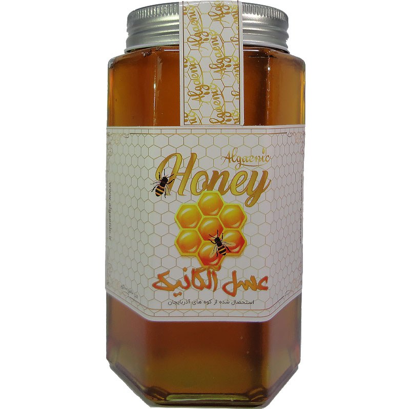 عسل چند گیاه کوهستانی طبیعی وزن خالص 800 گرم