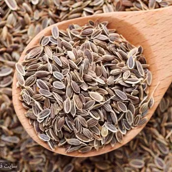 تخم شوید 100 گرم زخم معده. چربی خون. افزایش شیر مادر