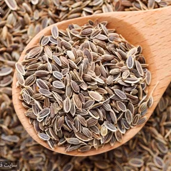 تخم شوید 100 گرم زخم معده. چربی خون. افزایش شیر مادر