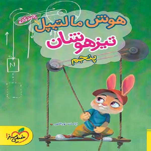کتاب هوش مالتیپل پنجم اثر اباصلت نورالهی انتشارات خیلی سبز