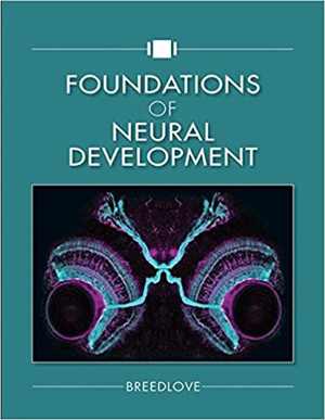  دانلود کتاب Foundations Of Neural Development, 2017 - دانلود کتاب های دانشگاهی