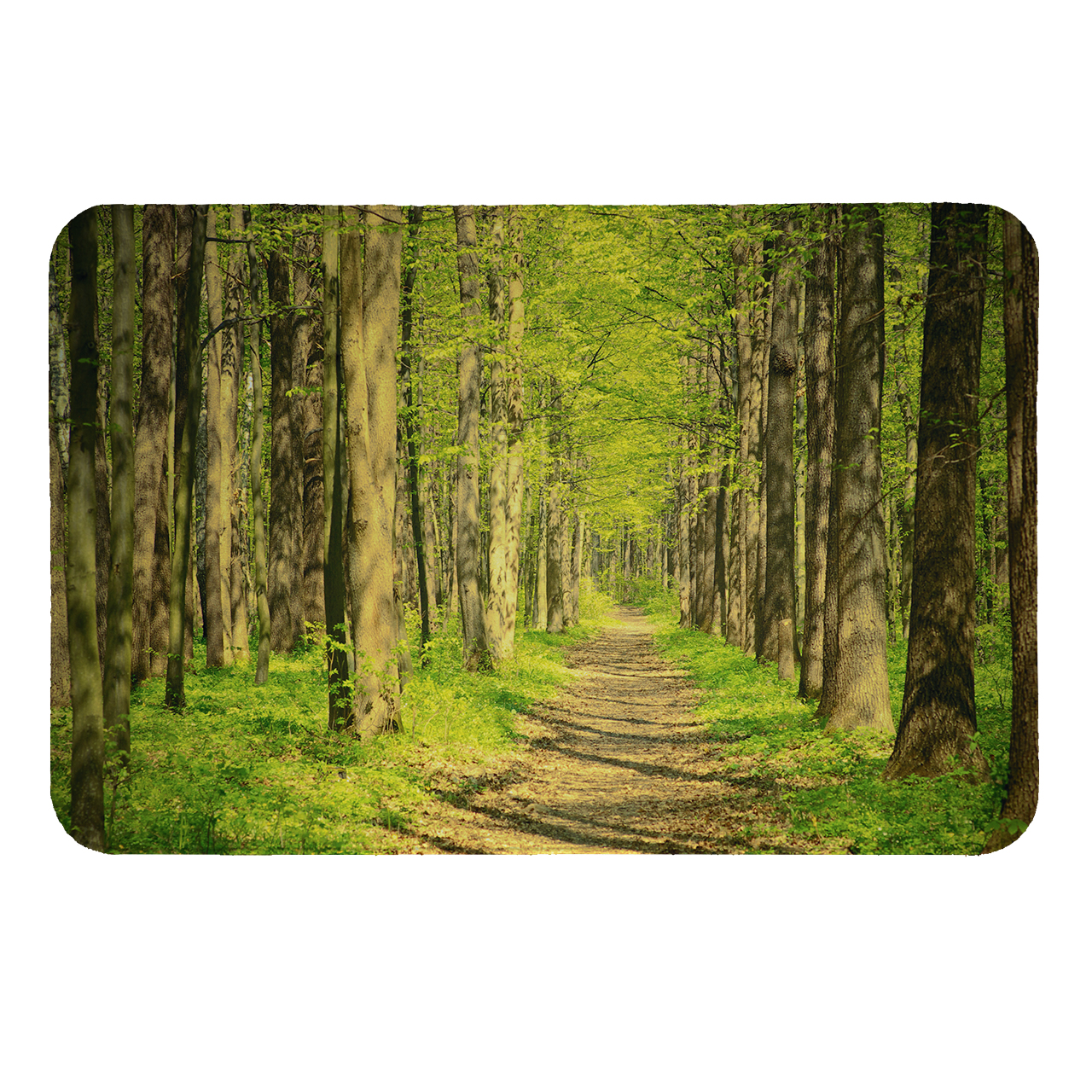   رطوبت گیر کنار سینک کد 180