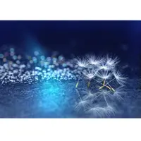 تابلو شاسی سهند طرح LS 270