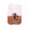 برچسب پوششی ماهوت مدل Elephant مناسب برای تبلت اپل iPad mini 2012 A1432