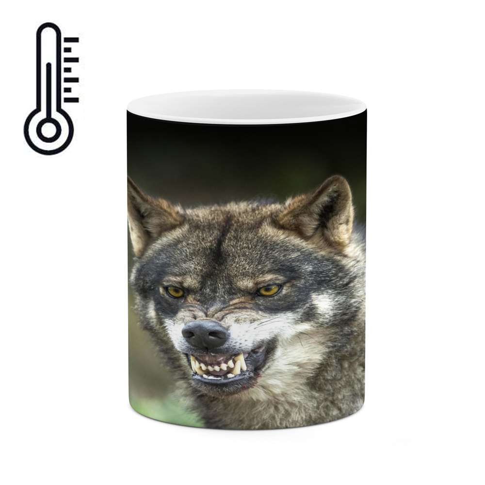 ماگ حرارتی کاکتی طرح گرگ مدل mgh17248