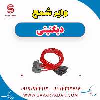 وایر شمع دیگنیتی