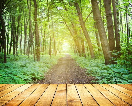 خرید و دانلود عکس Background-Part-17 کد 5409 | پیک فاکس | Pic Fox