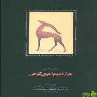 کتاب هزاره دوم آهوی کوهی محمدرضا شفیعی کدکنی - سیب ترش - SibTorsh تخفیف ویژه
