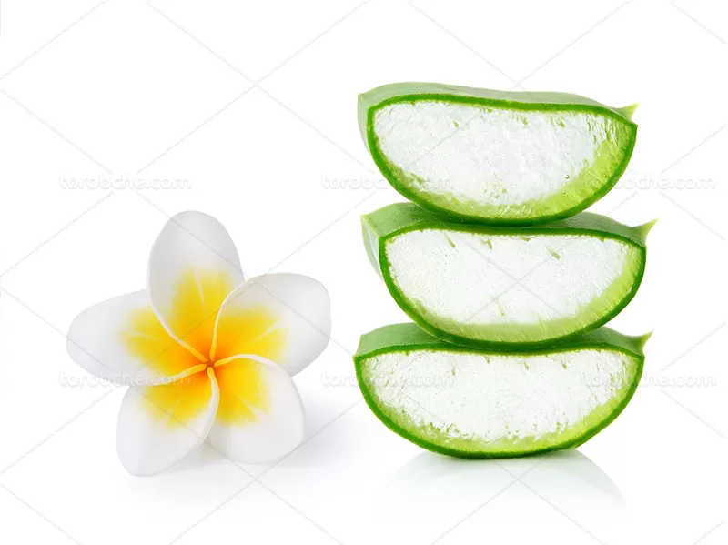 عکس آلوورا | گرافیک با طعم تربچه