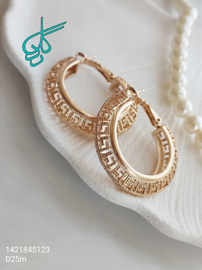 خرید گوشواره حلقه ای زنانه مارک ژوپینگ رنگ ثابت ضد حساسیت کد 1615673 - ردگل