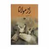 کتاب راز مولانا اثر برد گوچ نشر نگاه