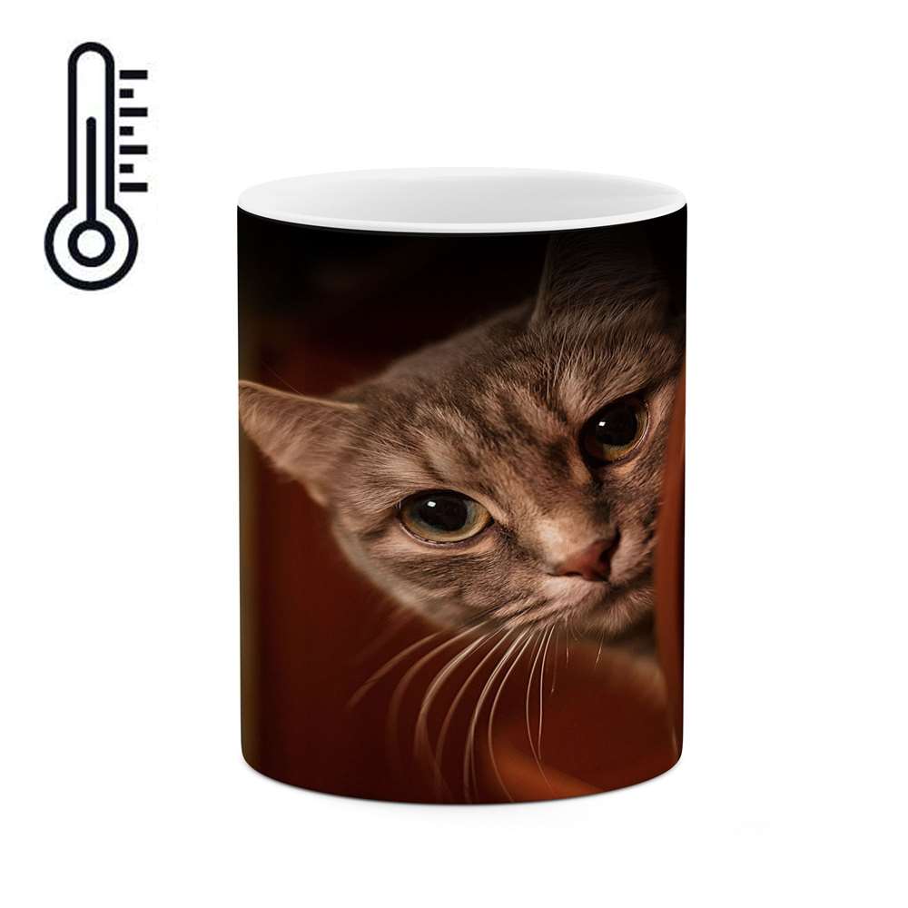 ماگ حرارتی کاکتی طرح گربه مدل mgh17349