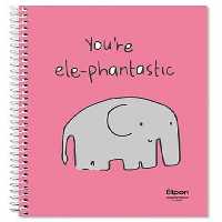 الیپون 60 برگ دو خط سیمی فانتزی 2 طرح (کد 259) - کتاب‌فروشی کوچه کتاب