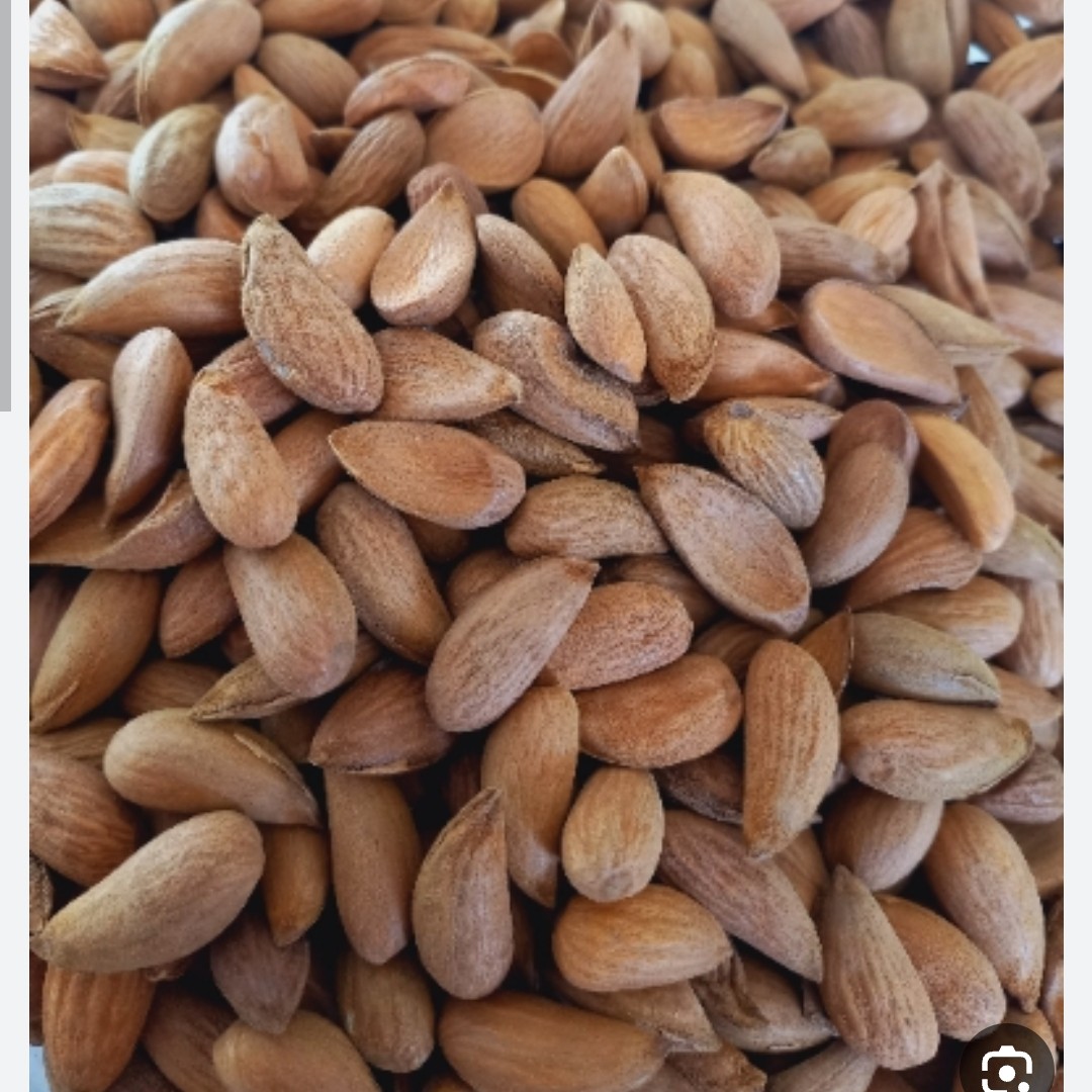 مغز بادام  درختی صادراتی درجه یک مناسب حریره بادام و...بدون تلخی 