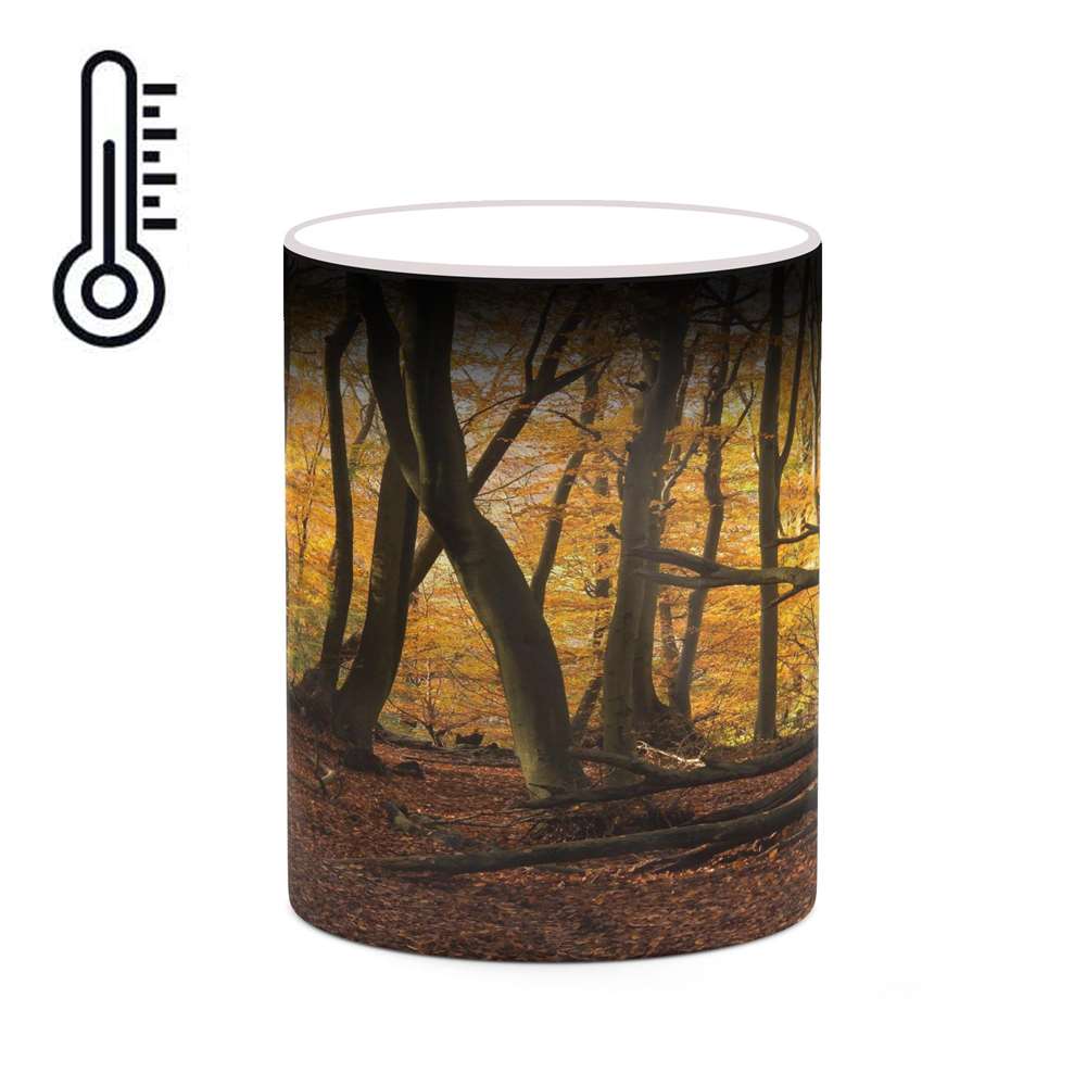 ماگ حرارتی کاکتی طرح منظره پاییزی مدل mgh18577