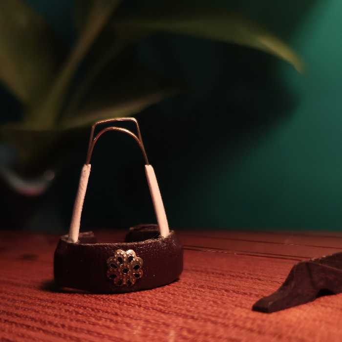 مضراب سه تار دوسیم