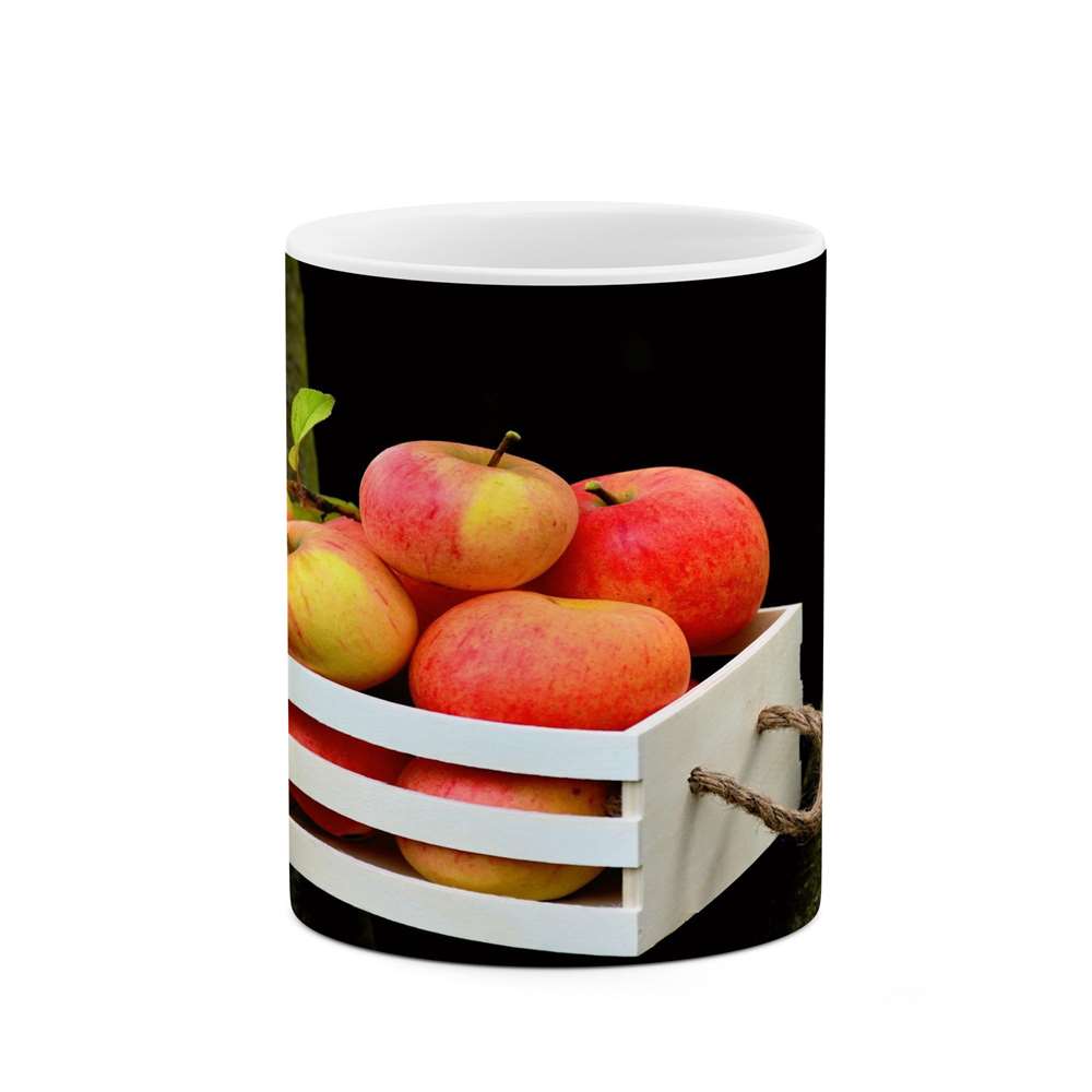 ماگ کاکتی طرح میوه مدل mgs14642