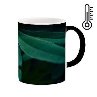 ماگ حرارتی کاکتی طرح برگ مدل mgh17283