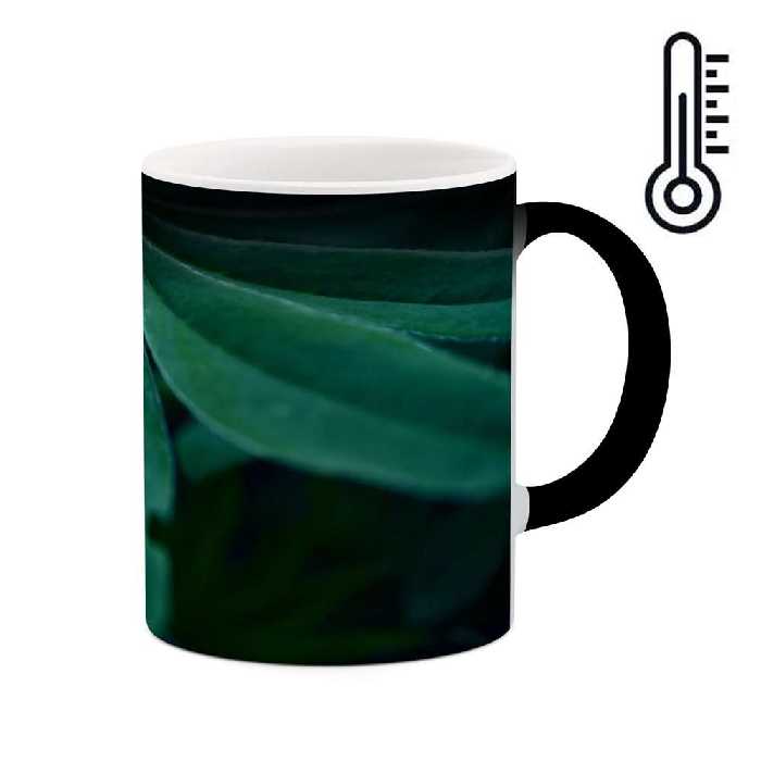 ماگ حرارتی کاکتی طرح برگ مدل mgh17283