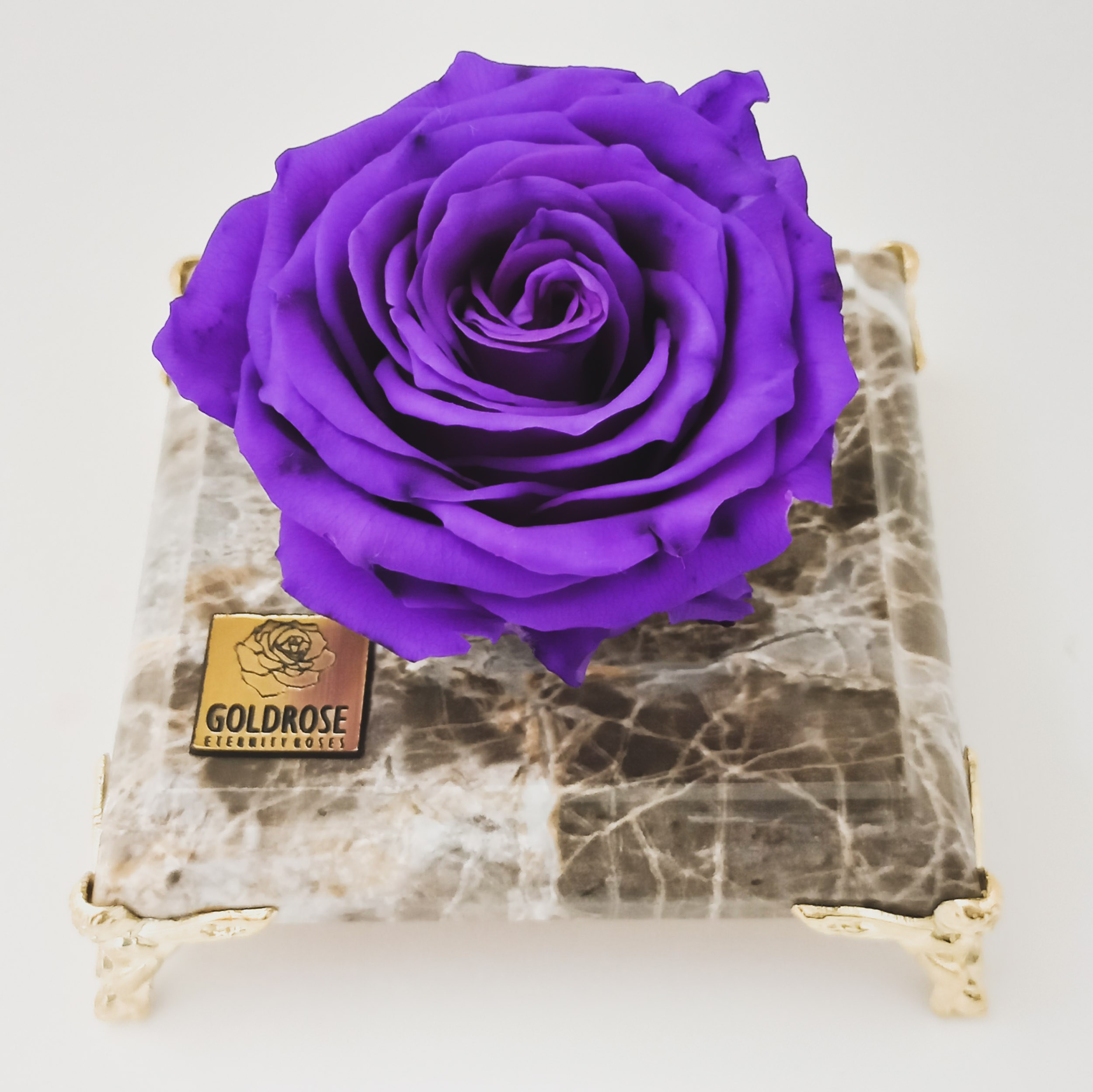 گل رز جاودان بنفش معطر  همراه با پایه طرح سنگ مشکی 