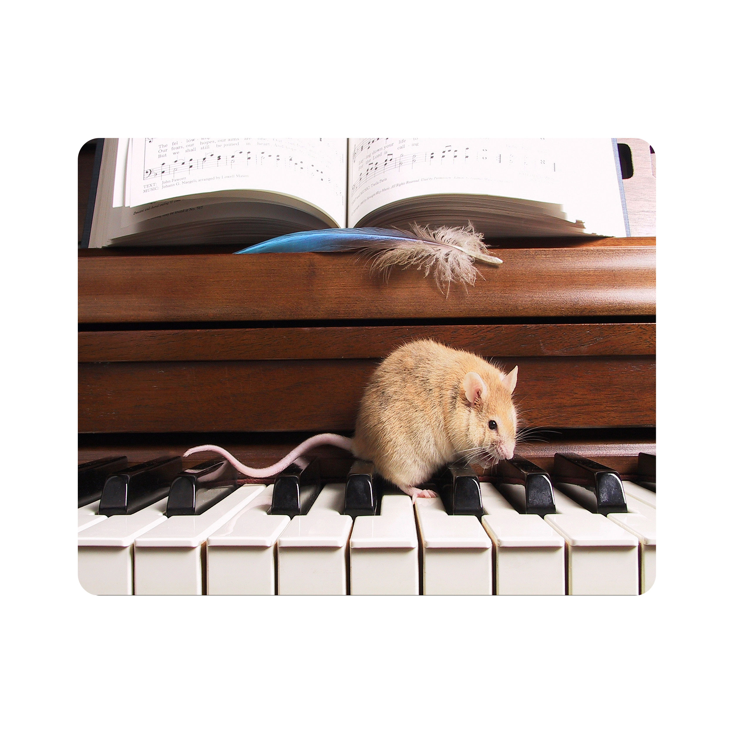 ماوس پد اطلس آبی طرح موش و پیانو   مدل T5864