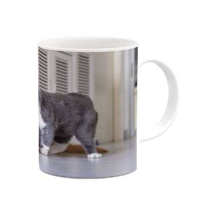 ماگ کاکتی طرح سگ و گربه مدل mgs14425