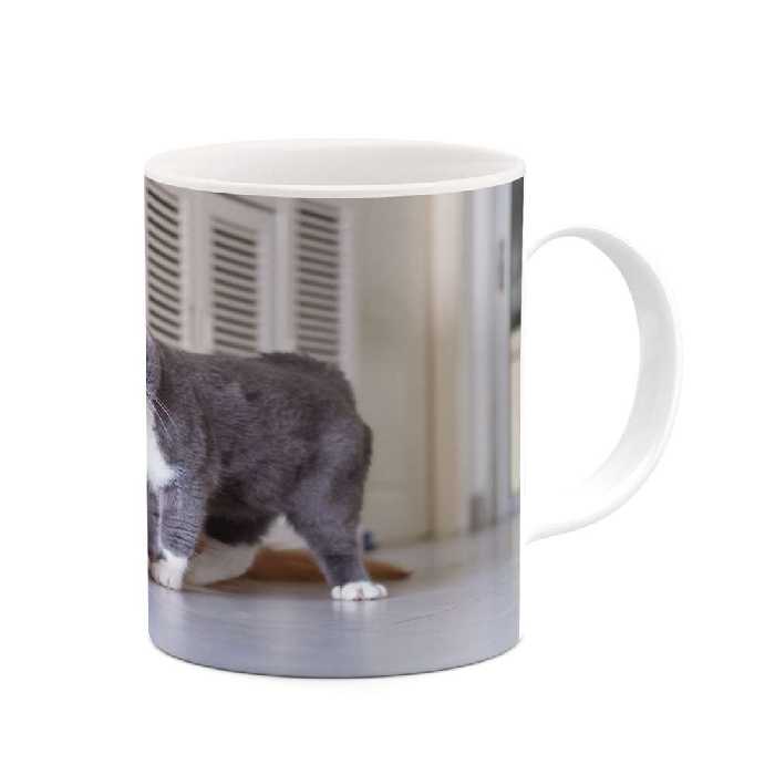 ماگ کاکتی طرح سگ و گربه مدل mgs14425