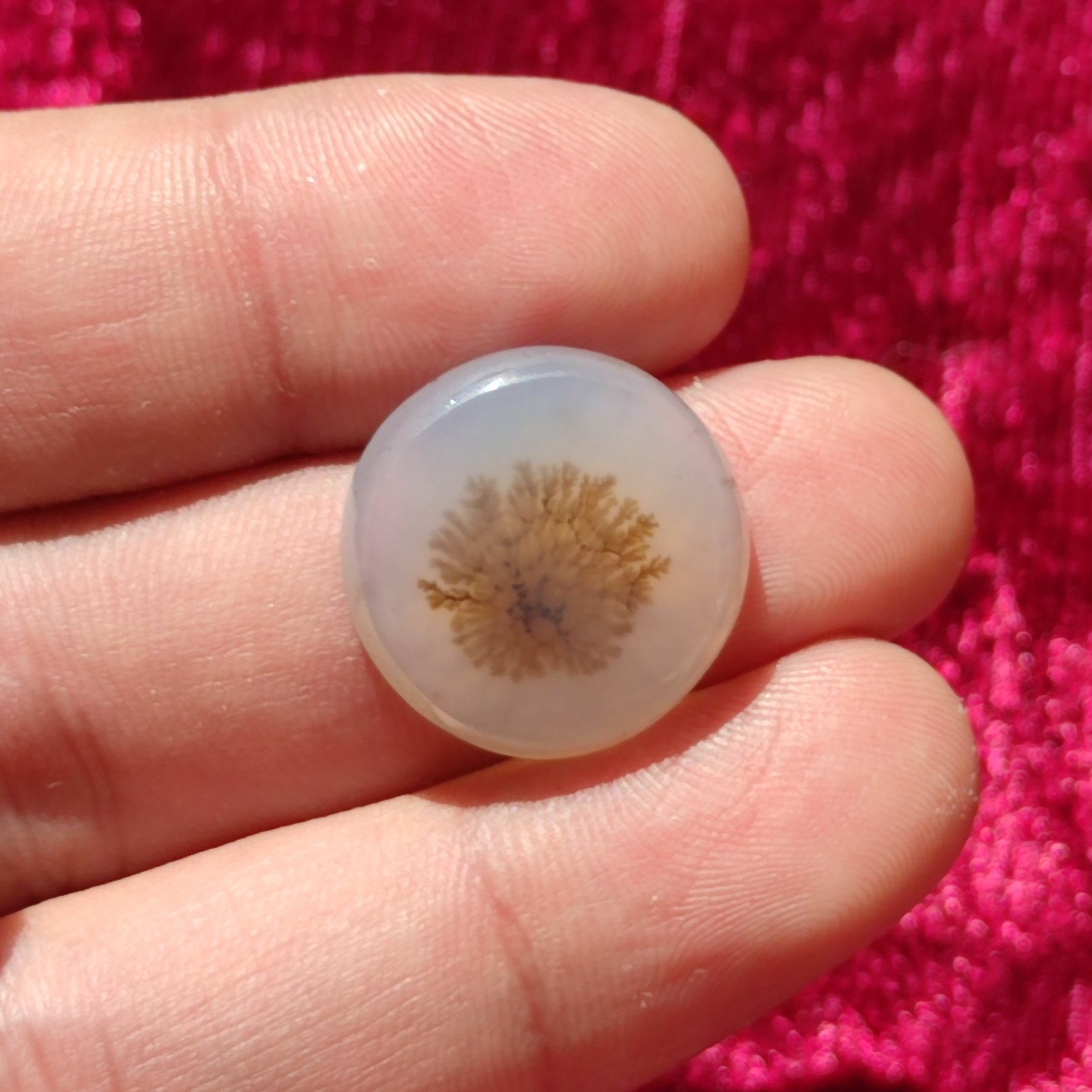 سنگ شجر قائن طبیعی و معدنی سفید و زرد رنگ کمیاب و مدل دایره ای