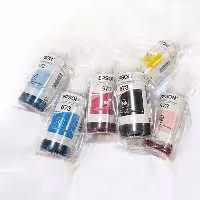 پک شش رنگ جوهر EPSON 673