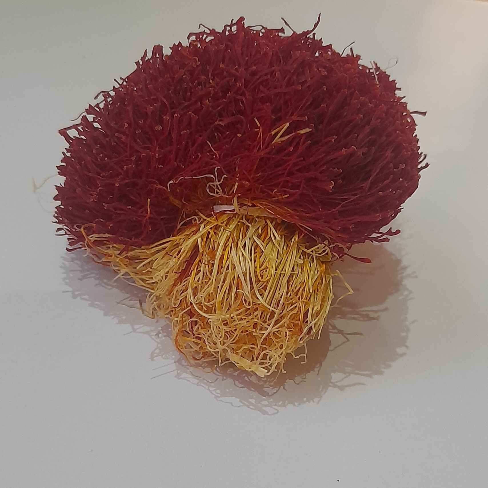 زعفران دسته 