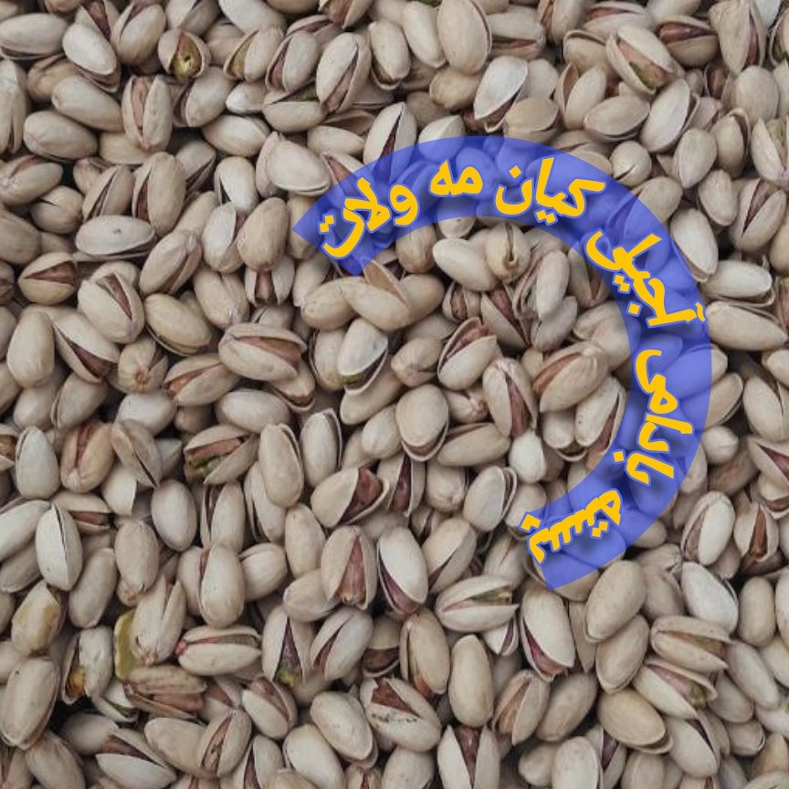پسته شور بادامی یک کیلویی ،ارگانیک ،خرید مستقیم از کشاورز،ارسال به صورت پس کرایه وهزینه با مشتری در مقصد