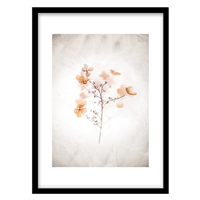 قیمت و خرید تابلو دکوراتیو مدل عکاسی گل و گیاه کد 1477