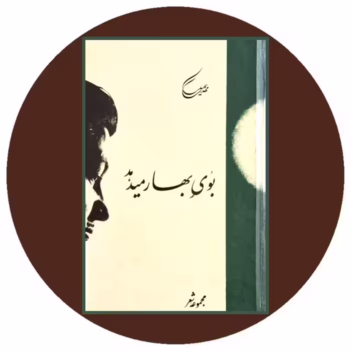 کتاب بوی بهار می‌دهد - خرید با تخفیف چهل درصد از کتاب دایره قهوه ای