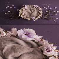 بک گراند عکاسی نوزاد سبد | گرافیک با طعم تربچه