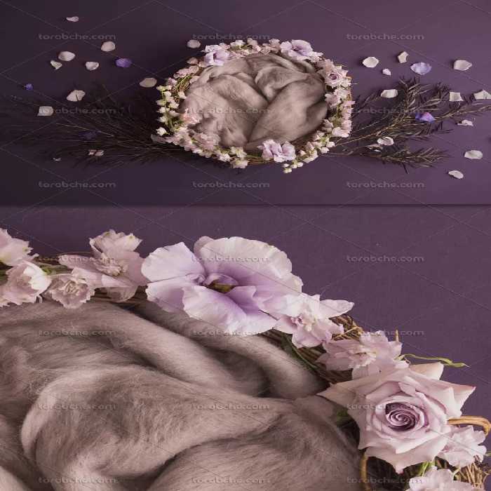 بک گراند عکاسی نوزاد سبد | گرافیک با طعم تربچه