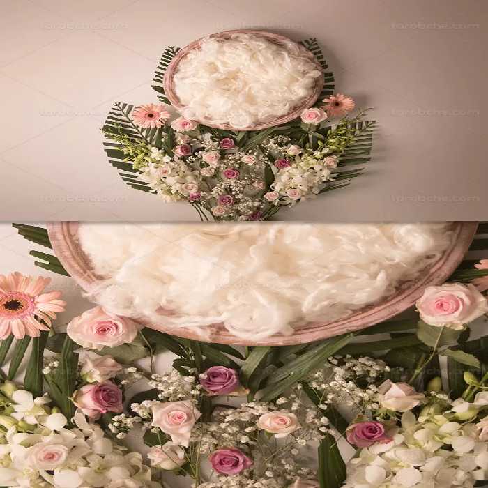 بک دراپ عکاسی نوزاد گل | گرافیک با طعم تربچه