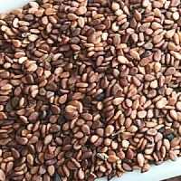 کنجد قهوه ای اعلاء 75 گرمی