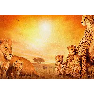 تابلو شاسی طرح شیر و یوز پلنگ مدل T1743