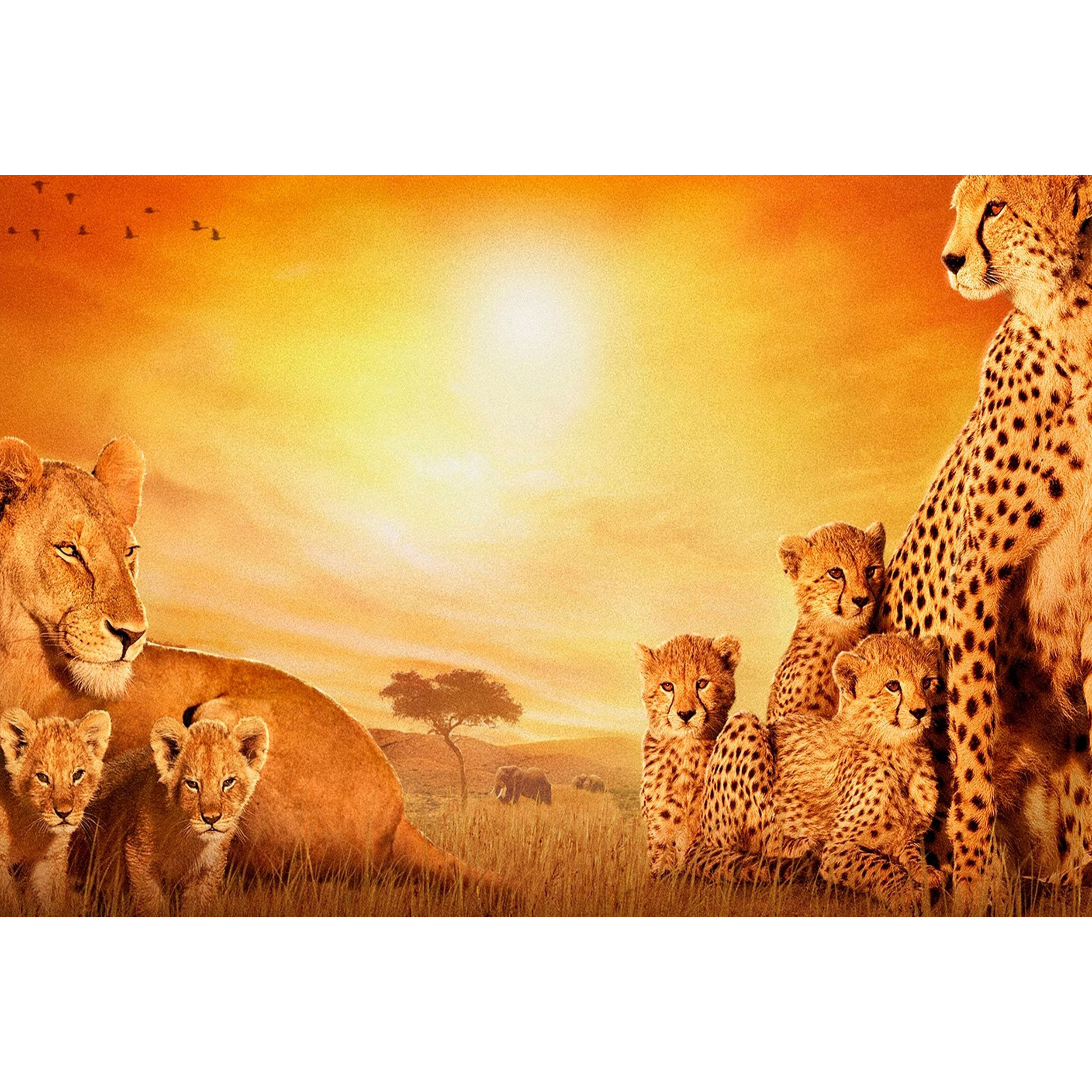 تابلو شاسی طرح شیر و یوز پلنگ مدل T1743