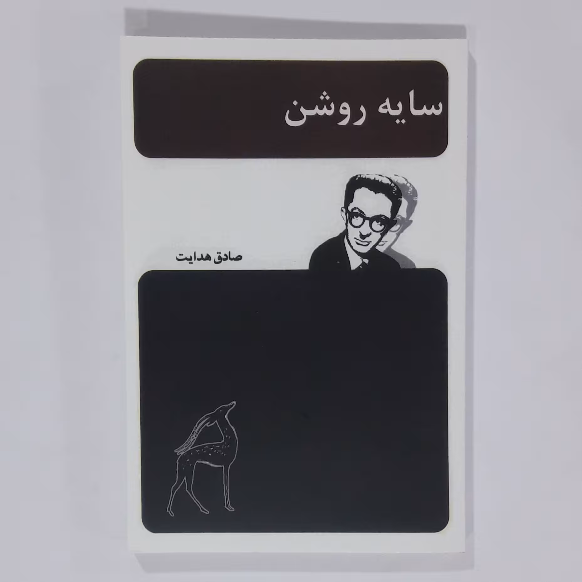 کتاب سایه روشن. صادق هدایت 