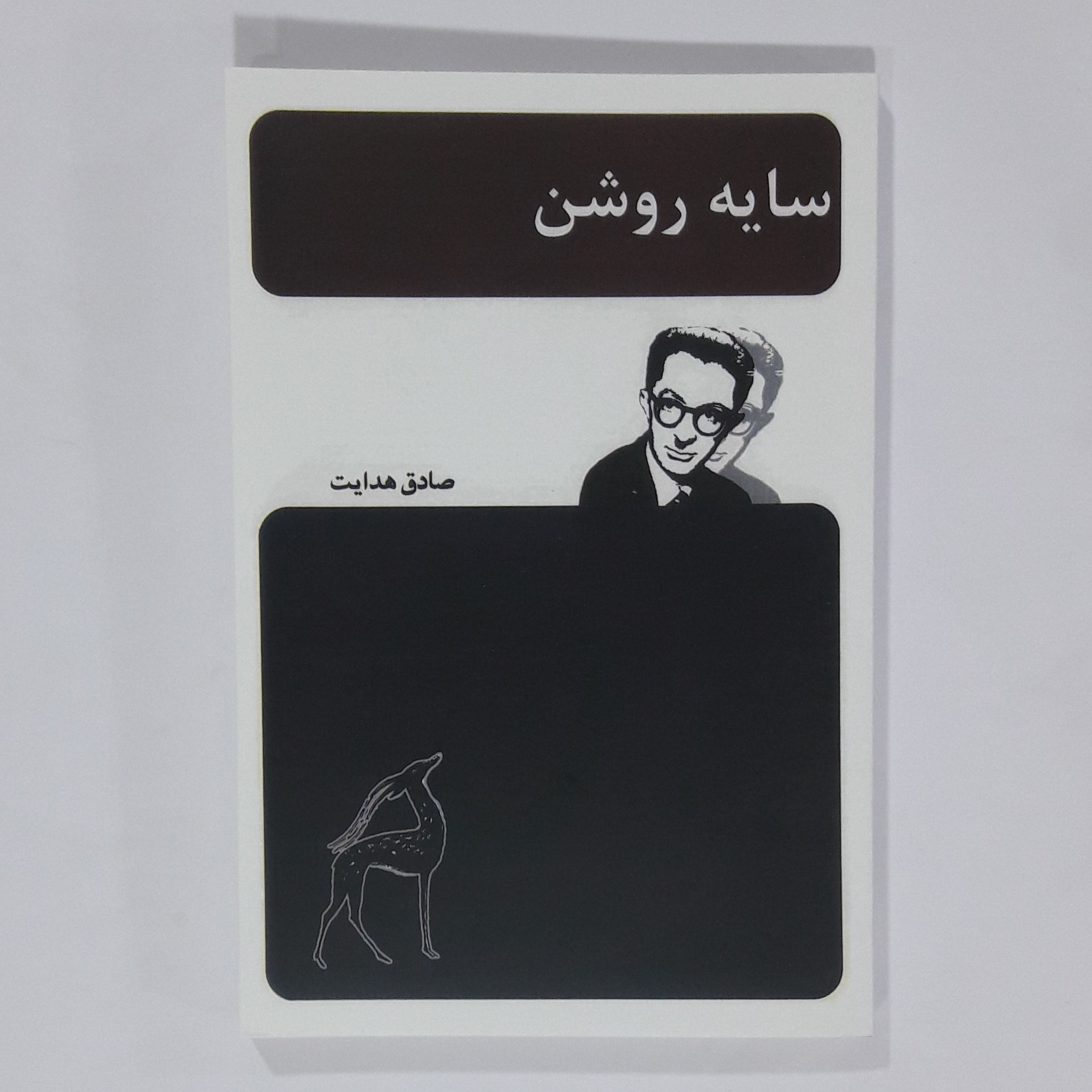 کتاب سایه روشن. صادق هدایت 
